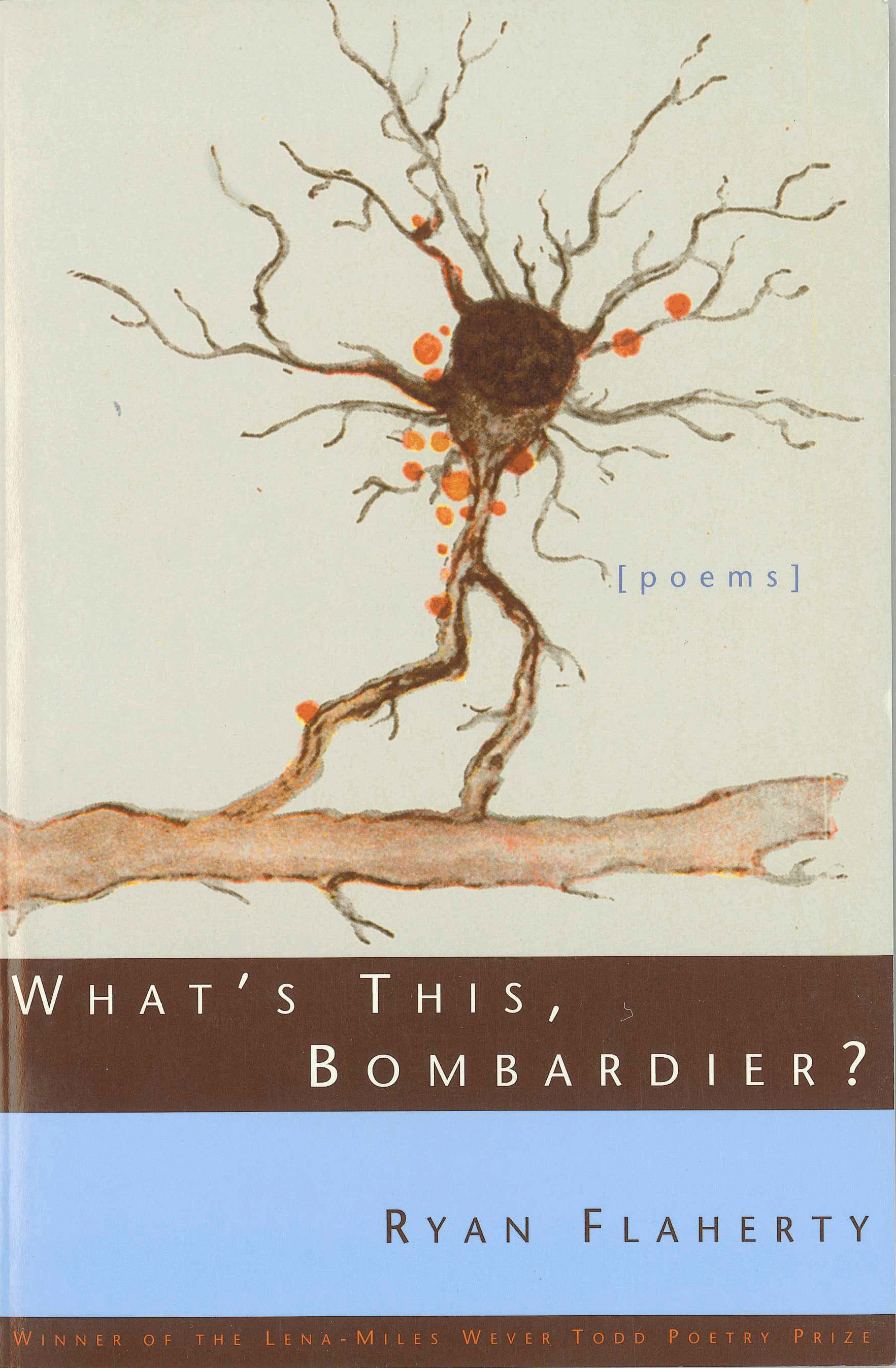 What's-This,-Bombardier